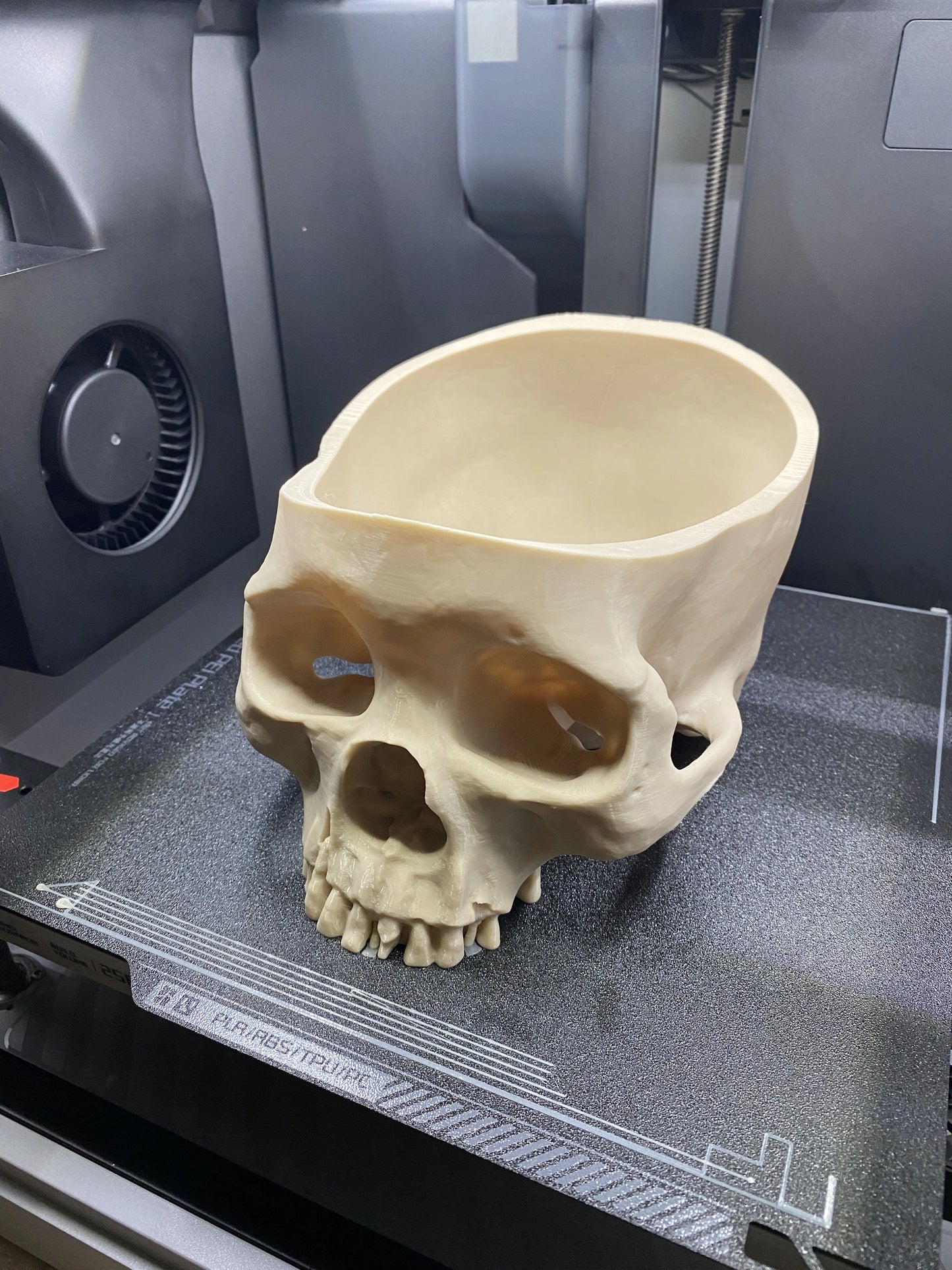 Human Skull [2 Sizes] Realistic Succulent Planter Horror Halloween Gothic 3D Printed Indoor Home Decor