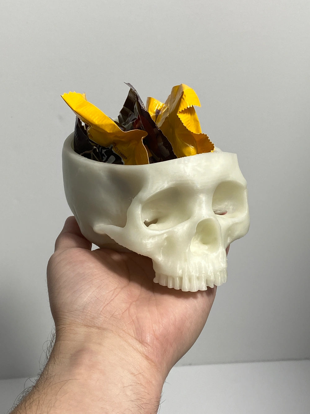 Human Skull [2 Sizes] Realistic Succulent Planter Horror Halloween Gothic 3D Printed Indoor Home Decor